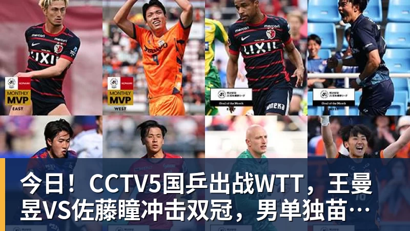 今日！CCTV5国乒出战WTT，王曼昱VS佐藤瞳冲击双冠，男单独苗周启豪PK松岛辉空